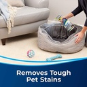 B00L2UOIW-WOOLITE ADVANCED PET STAIN & ODOR REMOVER PLUS SANITIZE 2PK