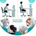 Lumbar Support Pillow/Back Cushion w/ Memory Foam Orthopedic Backrest