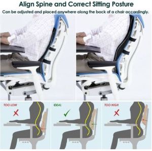 Lumbar Support Pillow/Back Cushion w/ Memory Foam Orthopedic Backrest