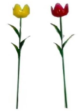 Garden Pick -Tulip-