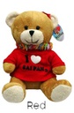 HB-111S(20cm) 8 Plush Sitting Bear w/I Love Saipan T-shirt