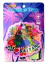 LT-1 PVC Saipan Luggage Tag Assorted