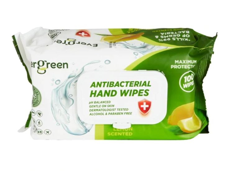 EVERGREEN ANTIBACTERIAL WIPES 100COUNT-12/cs