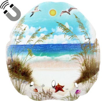 73545 - SEA/OATS 3" SANDOLLAR/MAG