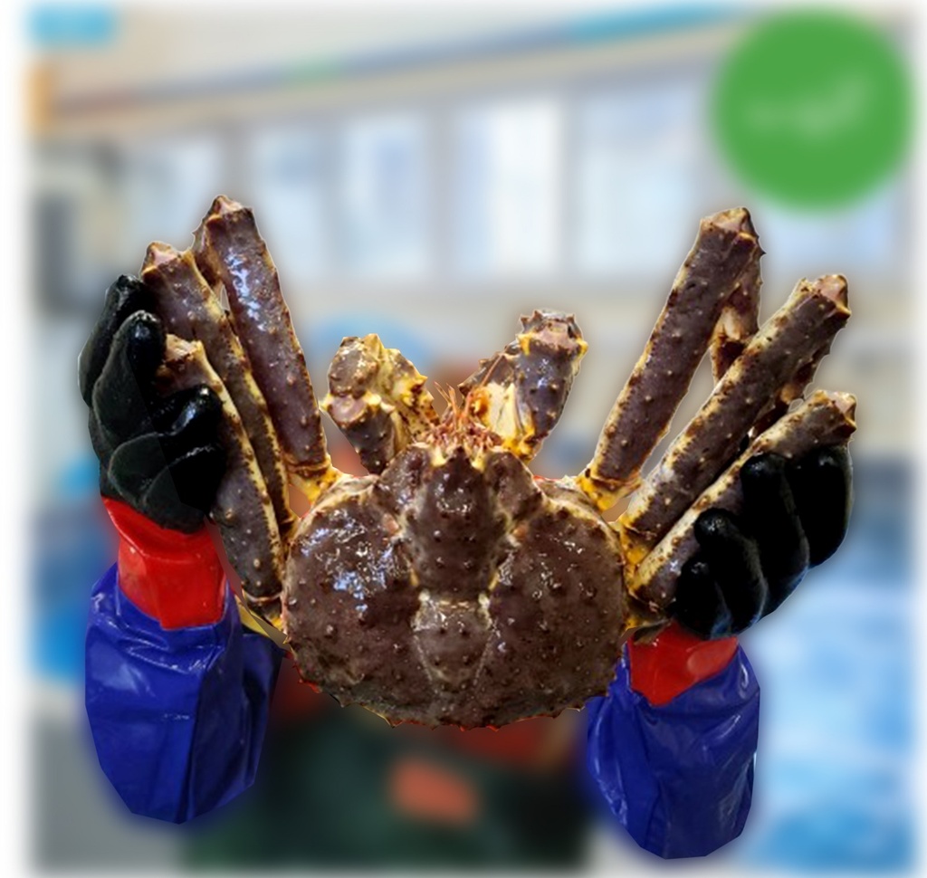 Russia Blue king Crab 1kg