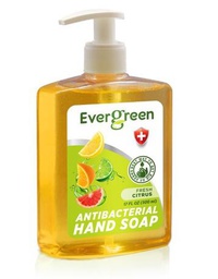 [422368] EverGreen Citrus Antibacterial Hand Soap 12x17 fl oz. Bottle w/ Pump