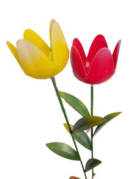 [422537] Garden Pick -Tulip-