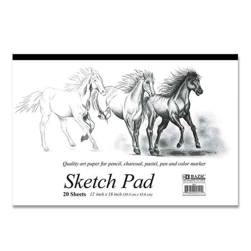 [505668] 551-BAZIC 20ct. 18x12 Sketch Pad